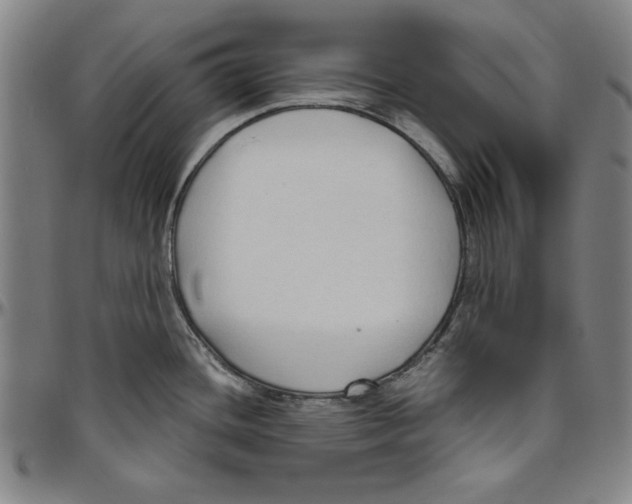 X0000096461436200802211115