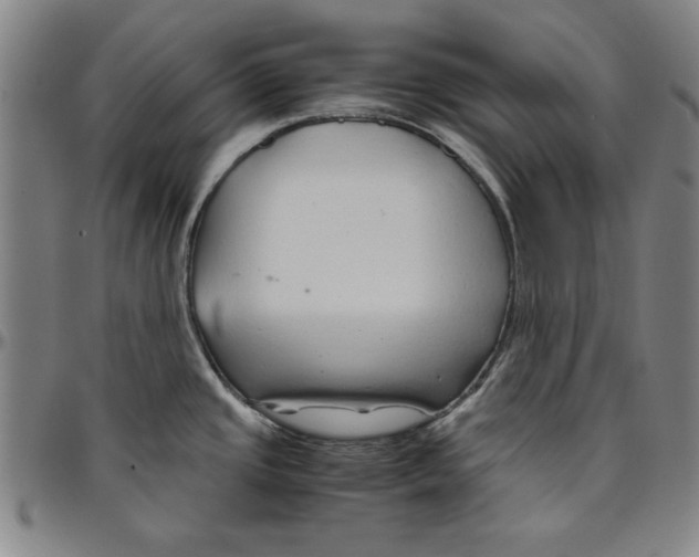 X0000096461437200802211115