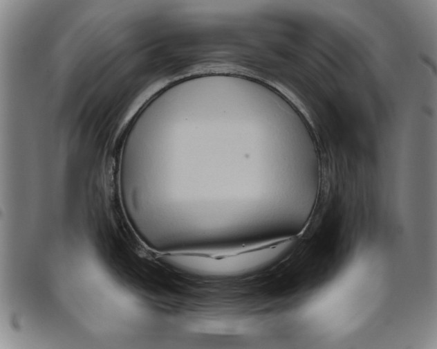 X0000096461438200802211115