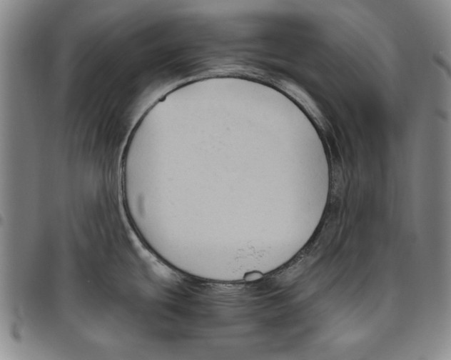 X0000096461439200802211115