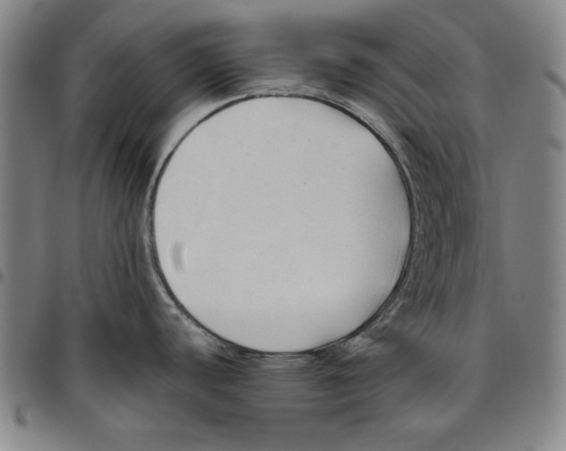 X0000096461440200802211115
