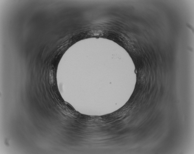 X0000096461442200802211114