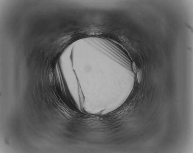 X0000096461444200802211114