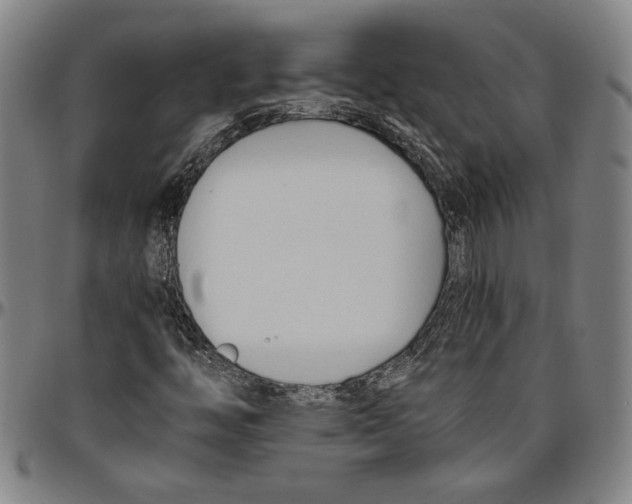 X0000096461446200802211114