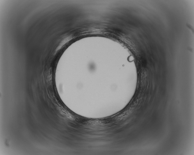 X0000096461450200802211114