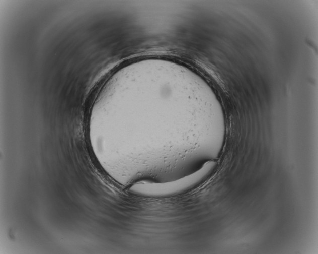 X0000096461452200802211114