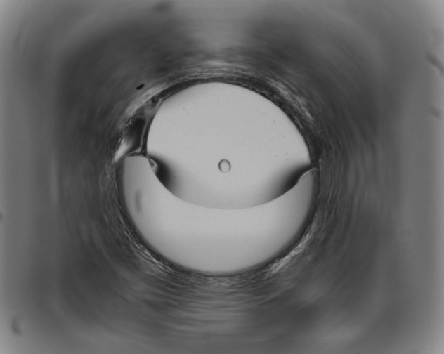 X0000096461453200802211114