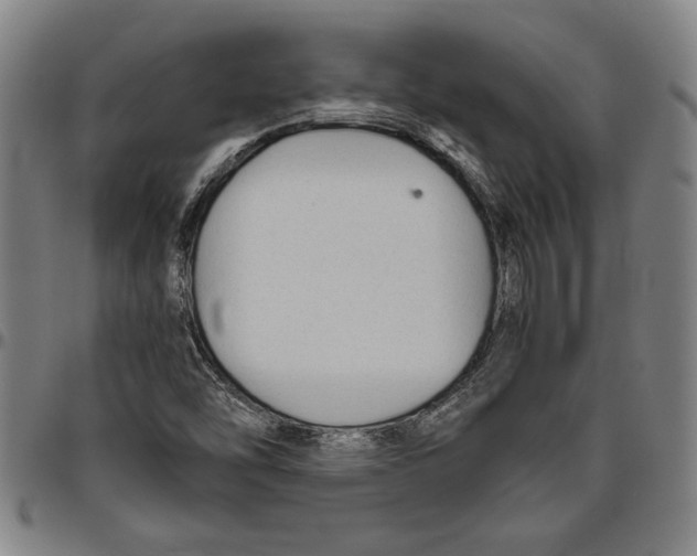 X0000096461454200802211114