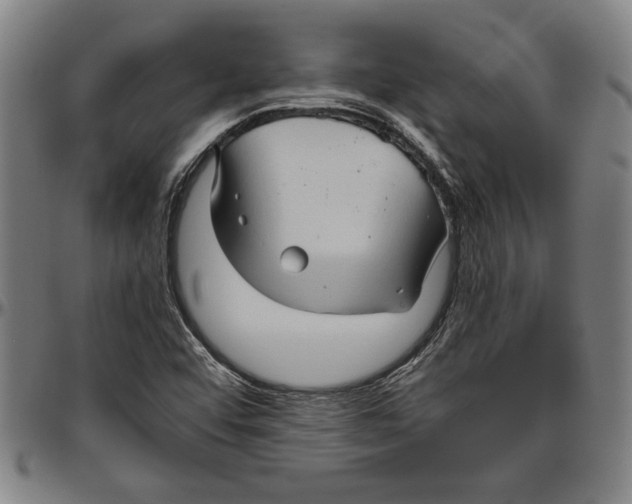 X0000096461456200802211114