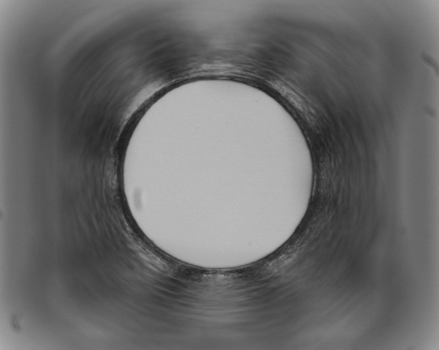 X0000096461458200802211114