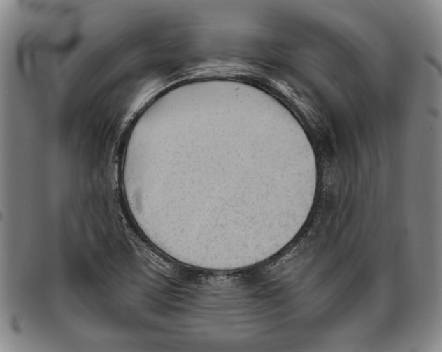 X0000096461459200802211114