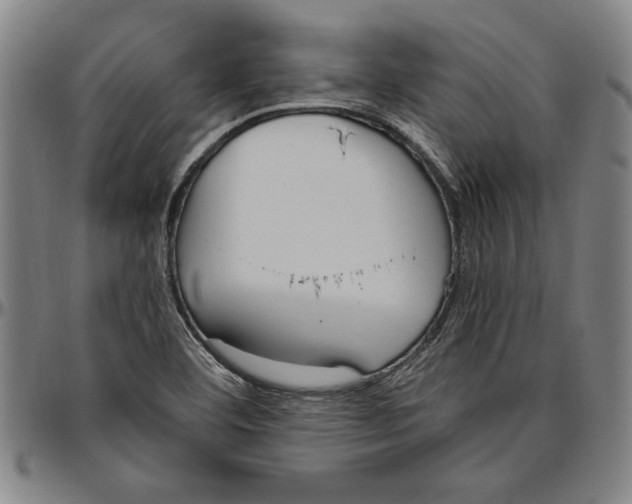 X0000096461460200802211114