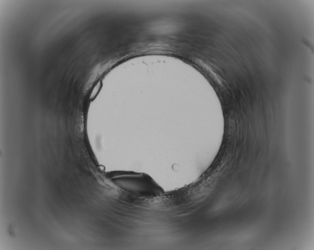 X0000096461461200802211114