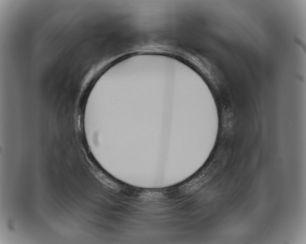 X0000096461462200802211114