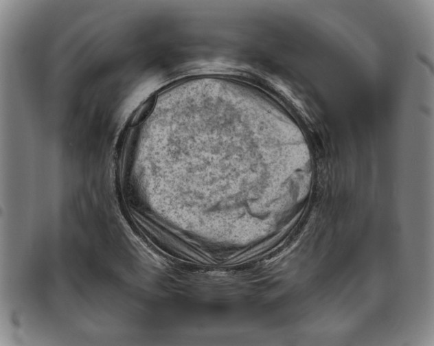 X0000096461463200802211114