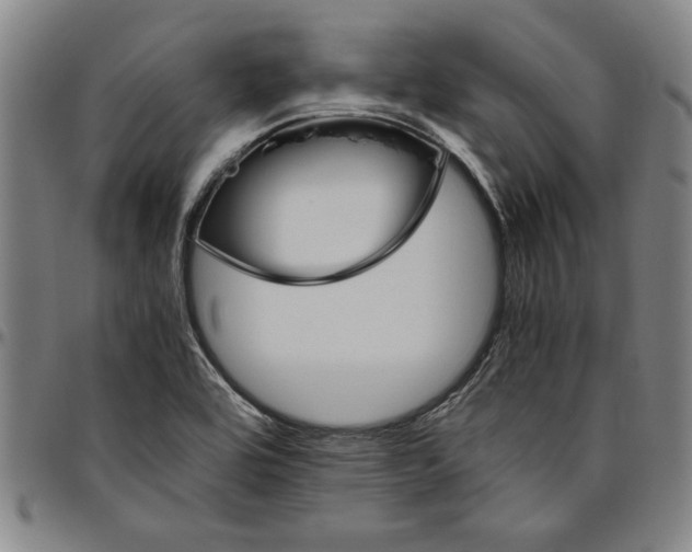 X0000096461464200802211114