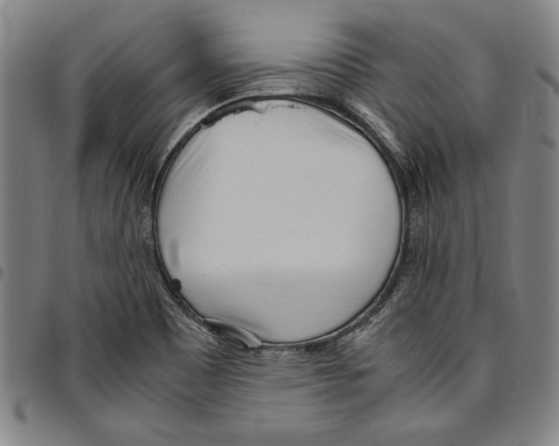 X0000096461465200802211114