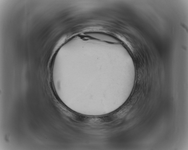 X0000096461467200802211114