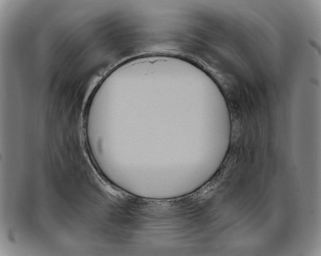 X0000096461470200802211114