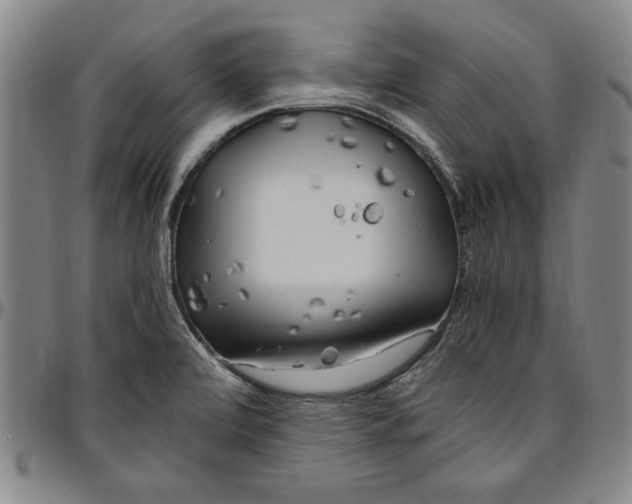 X0000096461472200802211114
