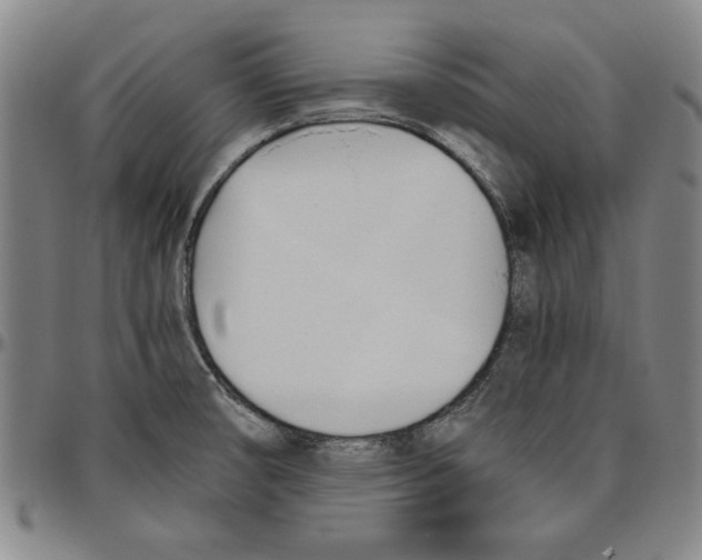 X0000096461474200802211114