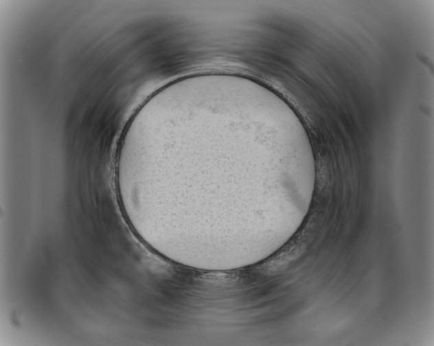 X0000096461478200802211114