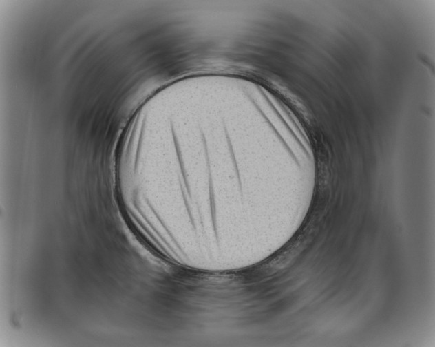 X0000096461479200802211114