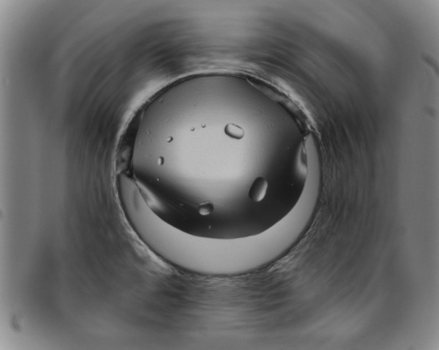 X0000096461480200802211114