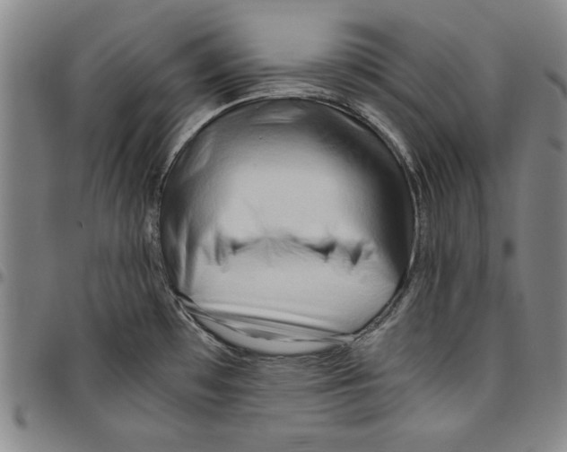 X0000096461481200802211114