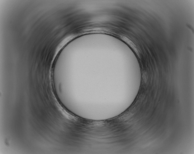 X0000096461482200802211114