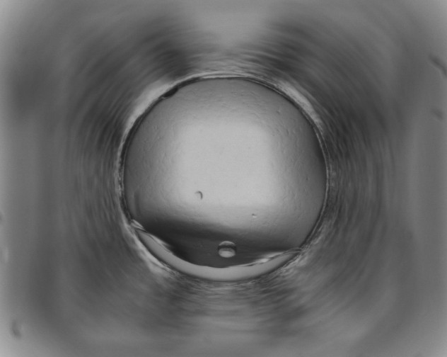 X0000096461485200802211114