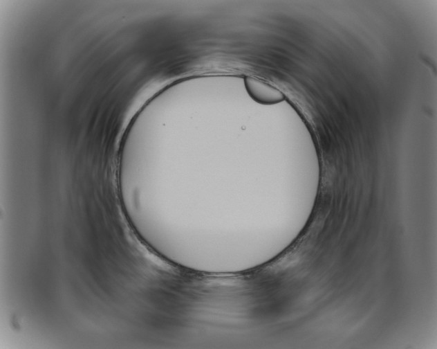 X0000096461486200802211114
