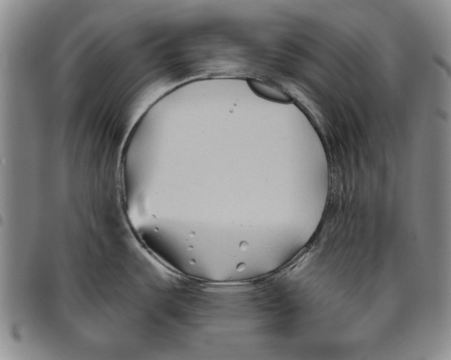 X0000096461487200802211114