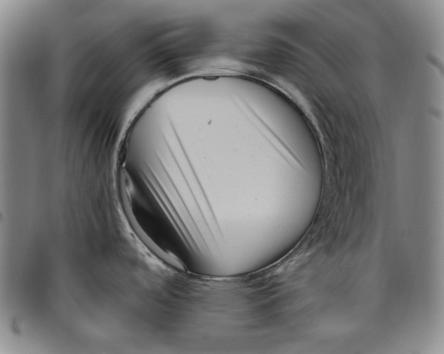 X0000096461488200802211114