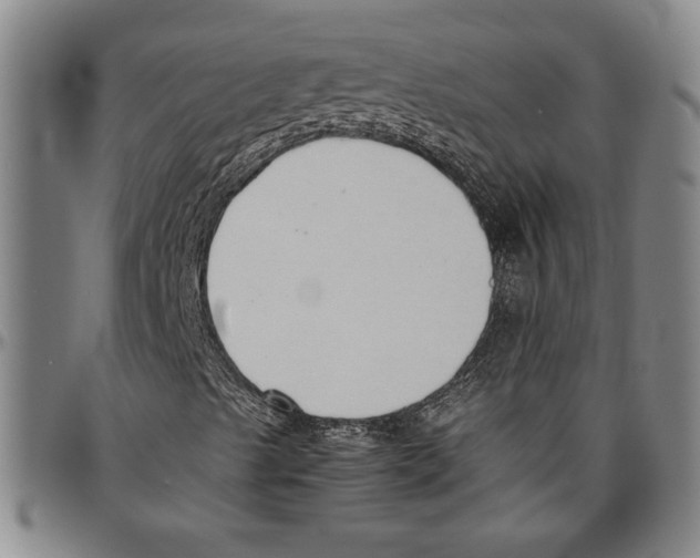 X0000096461489200802211113