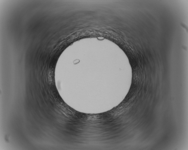X0000096461490200802211113