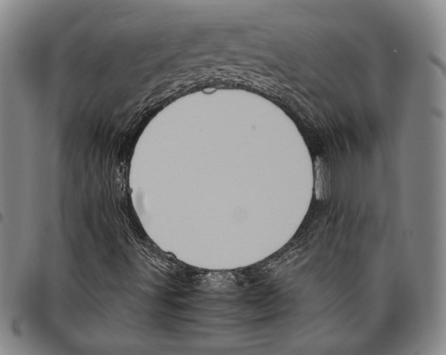 X0000096461491200802211113