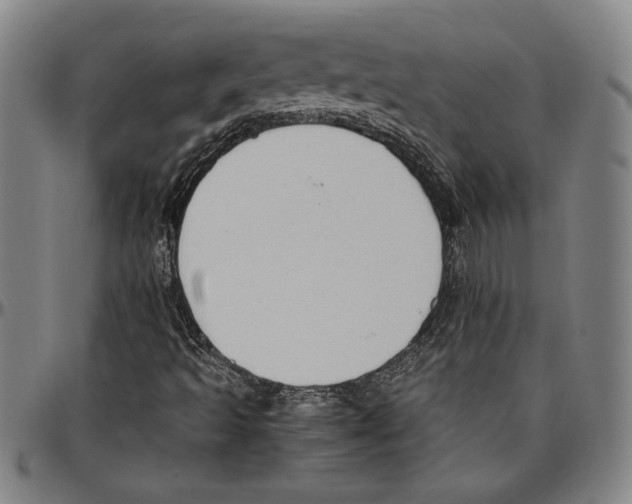 X0000096461493200802211113