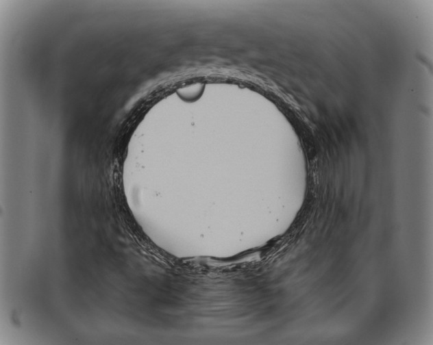 X0000096461495200802211113