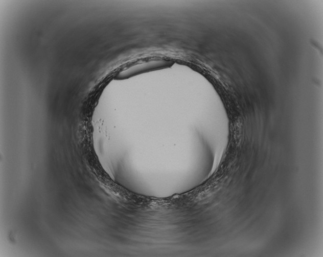 X0000096461496200802211113