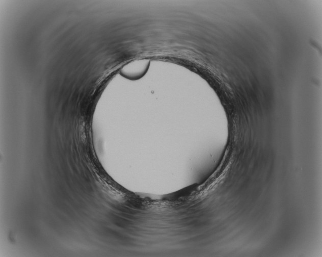 X0000096461497200802211113