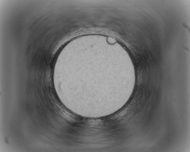 X0000096461498200802211113