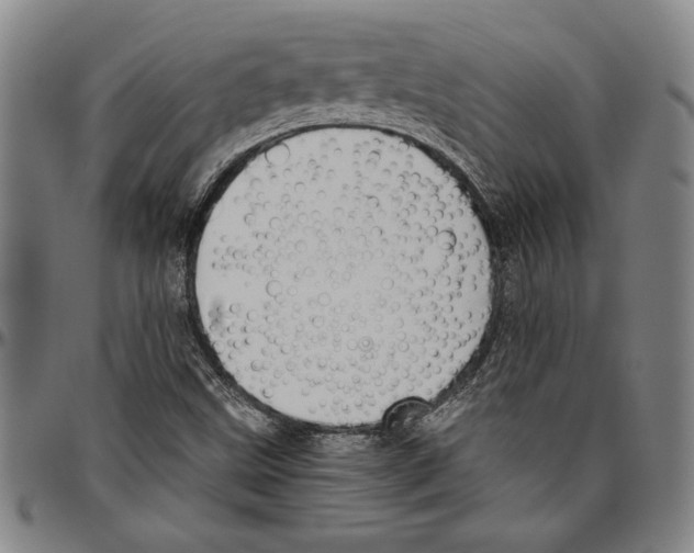 X0000096461499200802211113