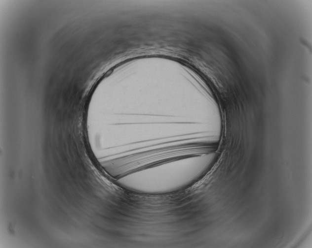 X0000096461500200802211113