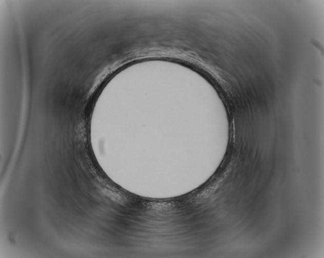 X0000096461501200802211113