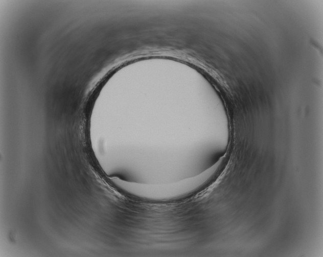 X0000096461502200802211113