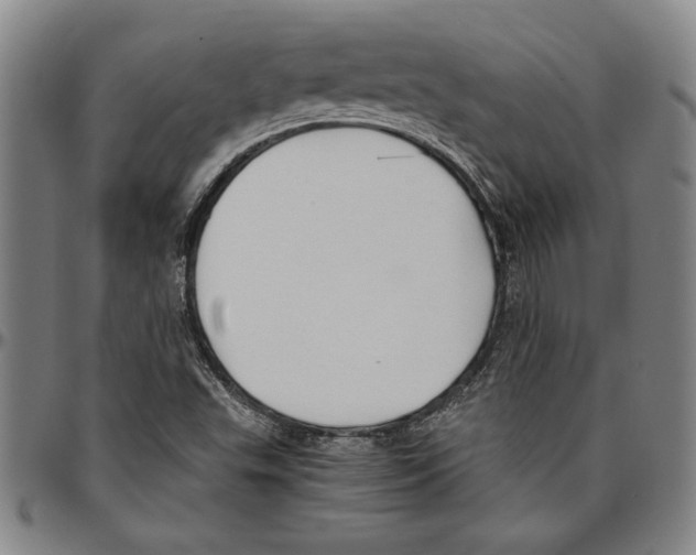 X0000096461503200802211113