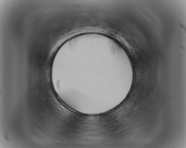 X0000096461504200802211113