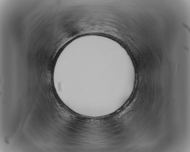 X0000096461505200802211113