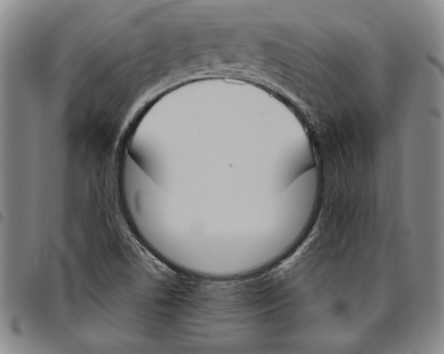 X0000096461506200802211113